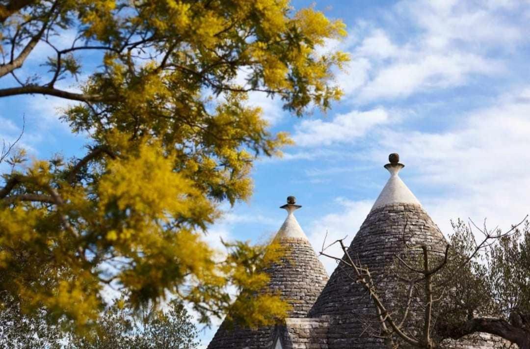 הוילה ברינדיזי Trulli Azzalema With Exclusive Pool מראה חיצוני תמונה